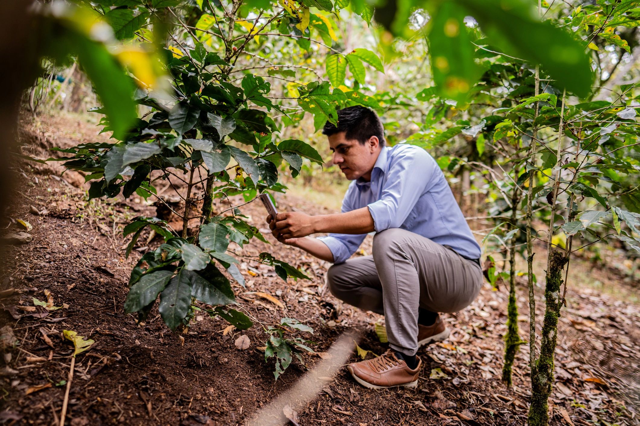 Consultant documenting plant conditions on a farm