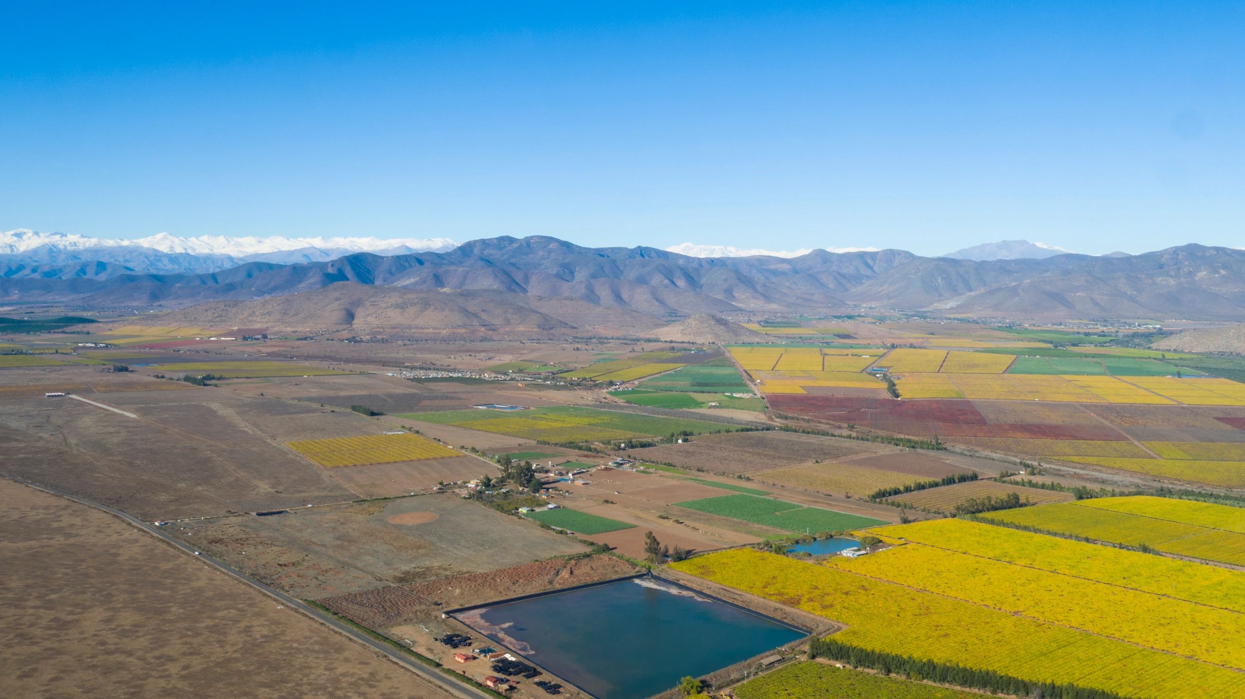 Agricultural fields and orchard landscape