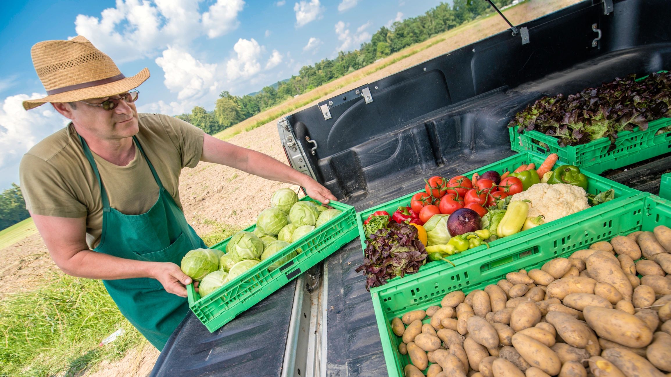 Professional agricultural consultant with produce